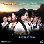 天堂里的阿妈 VCD