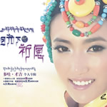 月光下的祈愿 VCD